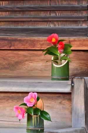 谷の御所、春のしつらえ