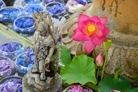 明星山の花設え