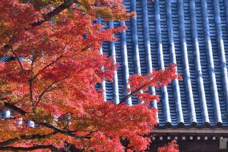 西山、秋の名勝