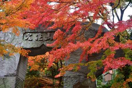 禅寺、深秋の候