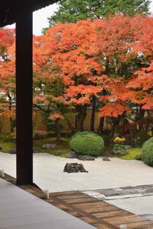 深秋、白砂の庭