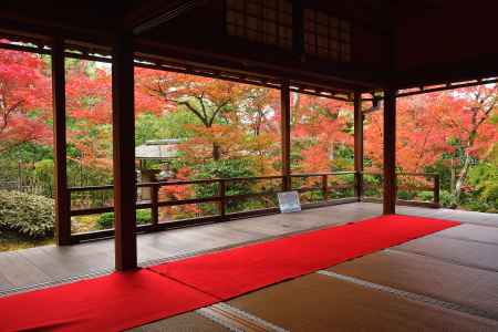 花園、秋の風物詩