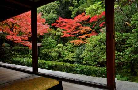禅寺、椛の彩り