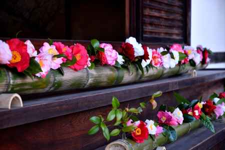 椿門跡、春の彩