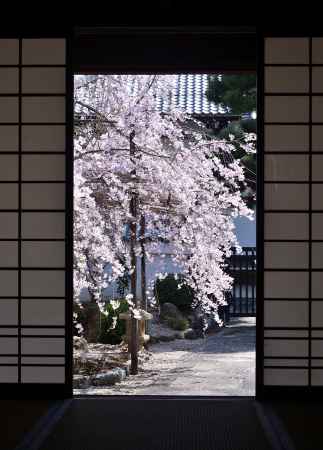 寺之内、春の錦絵