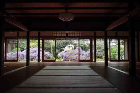 藤の書院