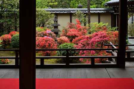 祇園の躑躅(つつじ）庭