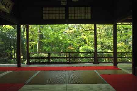 新緑揺れる露地の庭