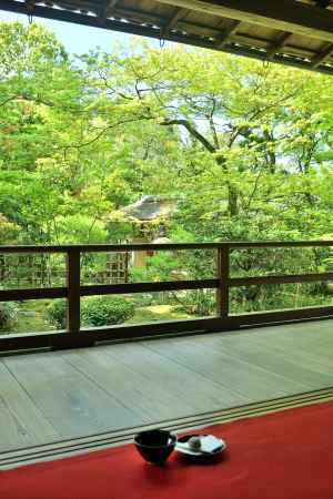 青葉、且座喫茶