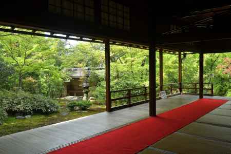 禅庭、若葉の便り