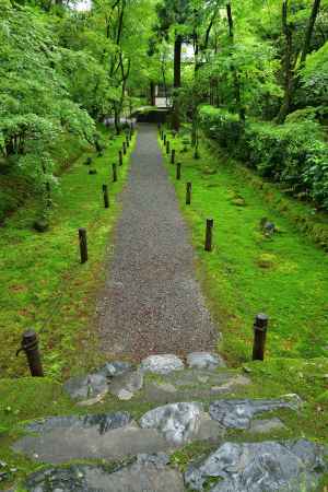 竹の寺、皐月の便り