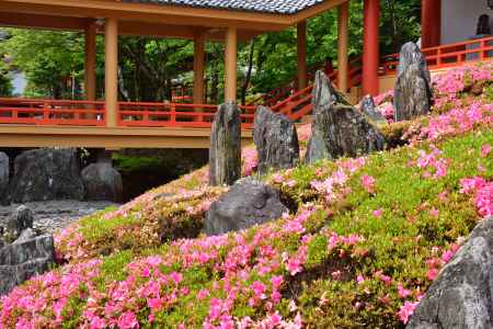 嵯峨の社のサツキ染め