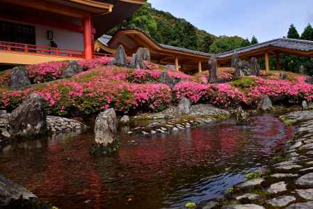 曲水、花の意匠