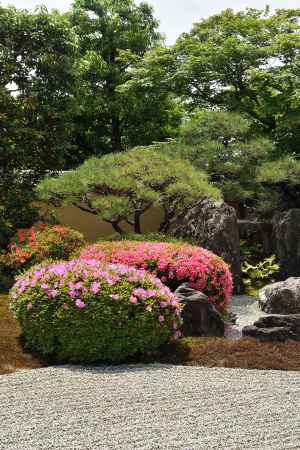 静寂のサツキ日和