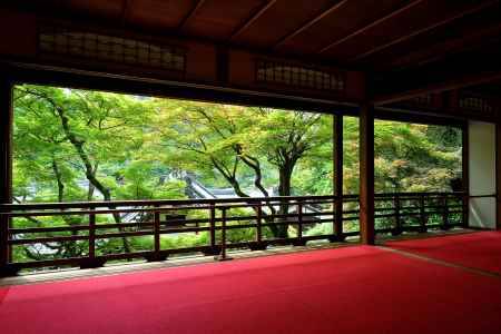 上書院の青もみじ