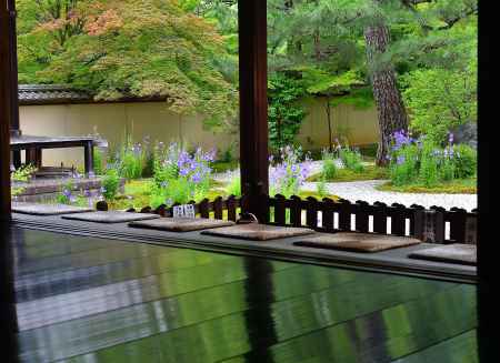 七夕月の源氏花