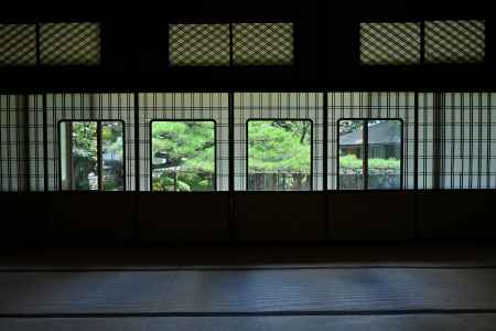 大座敷、松の図