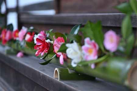 東山、椿の設え