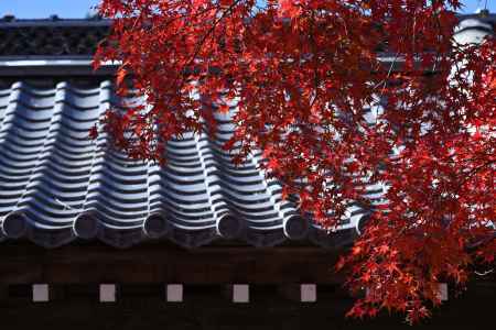 秋染、矢田の宮