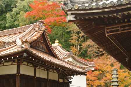 天王山　秋の陣