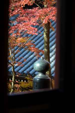 向こうに。。。