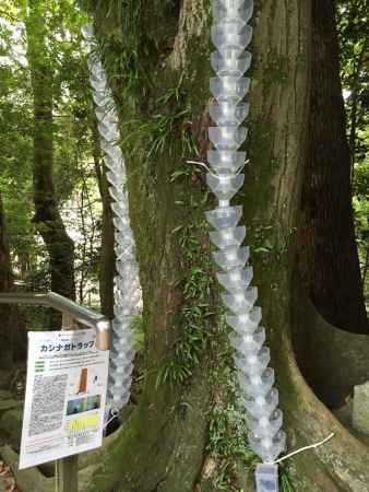 石清水八幡宮4 2015.06.28