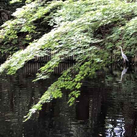 石上神宮20180603-h