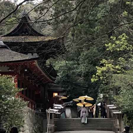 2019.2.3石上神宮1