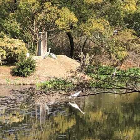 2019.04.06勧修寺1