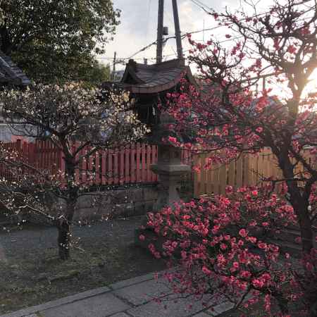 2019.02.09縣神社