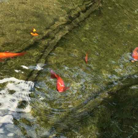 2019.05.15大黒寺1