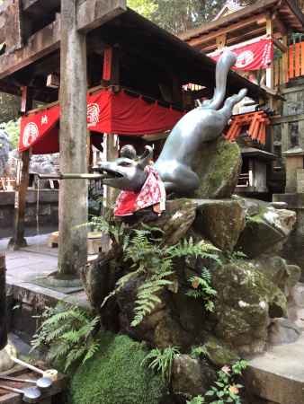 京都伏見稲荷大社2019.09.19眼力社