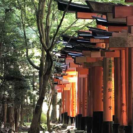 京都伏見稲荷大社2019.09.19千本鳥居