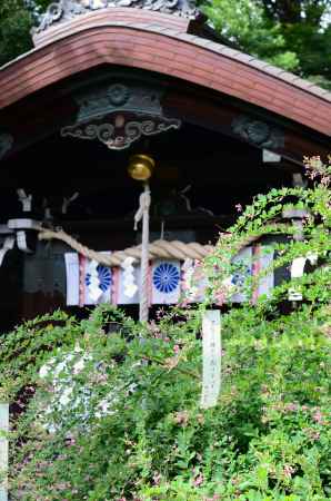 梨木神社　萩まつり(160917e)