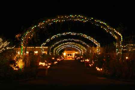 光のトンネル道