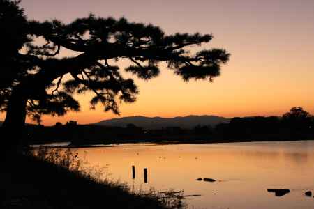 シルエット嵐山