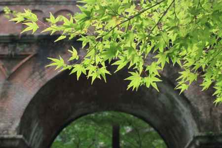 水路閣ともみじ