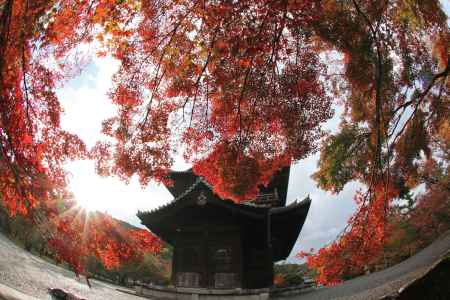 紅葉+南禅寺