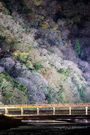 パッチワーク花灯路弁当