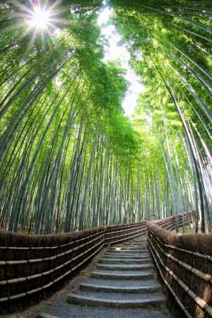 あだし野念仏寺