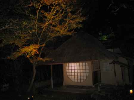 高台寺ライトアップと紅葉