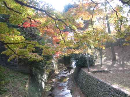 北野天満宮の紅葉