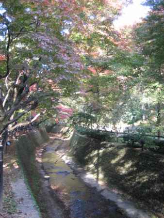 秋の北野天満宮
