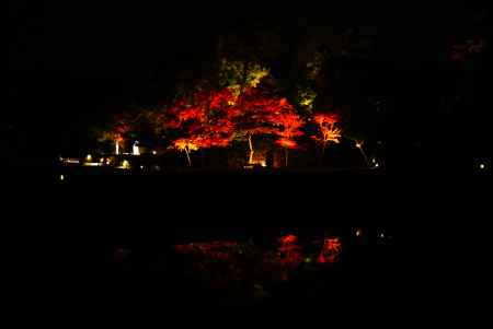 平等院夜間特別拝観3