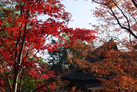 北野天満宮１１