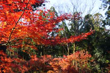 北野天満宮１２