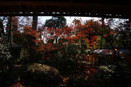 妙心寺大法院３