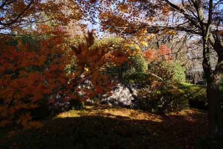 妙心寺退蔵院２