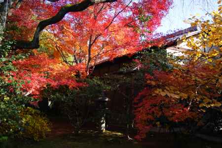 妙心寺退蔵院６