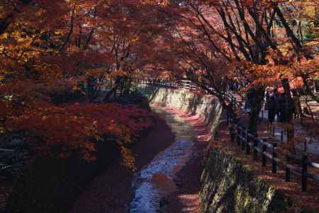 北野天満宮 紙屋川